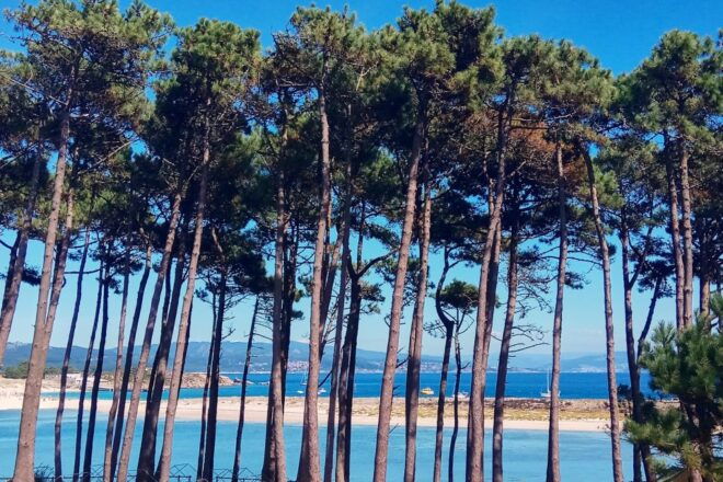 Portonovo: Ferry to Cies Islands & Rodas Beach - Includes