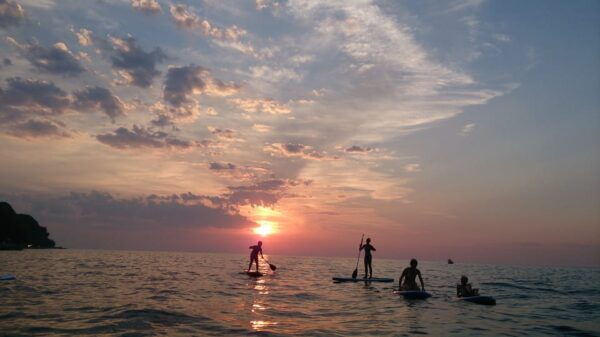 Portorož: Sunset Coastline Stand-Up Paddleboarding Tour - The Sum Up