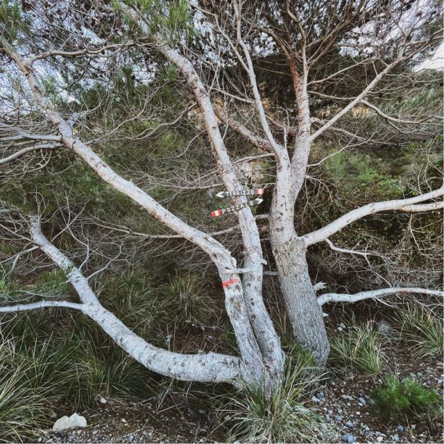 Portovenere: Isola Palmaria Into the Wild Day Tour - Accessibility and Reviews