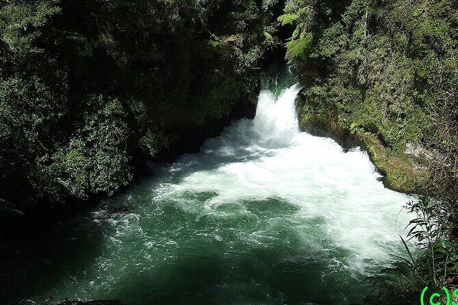 Ports of Tauranga/Rotorua/Tga - 6 Hours Rotorua Highlights Tour - A Genuine Look at the Rotorua Highlights Tour