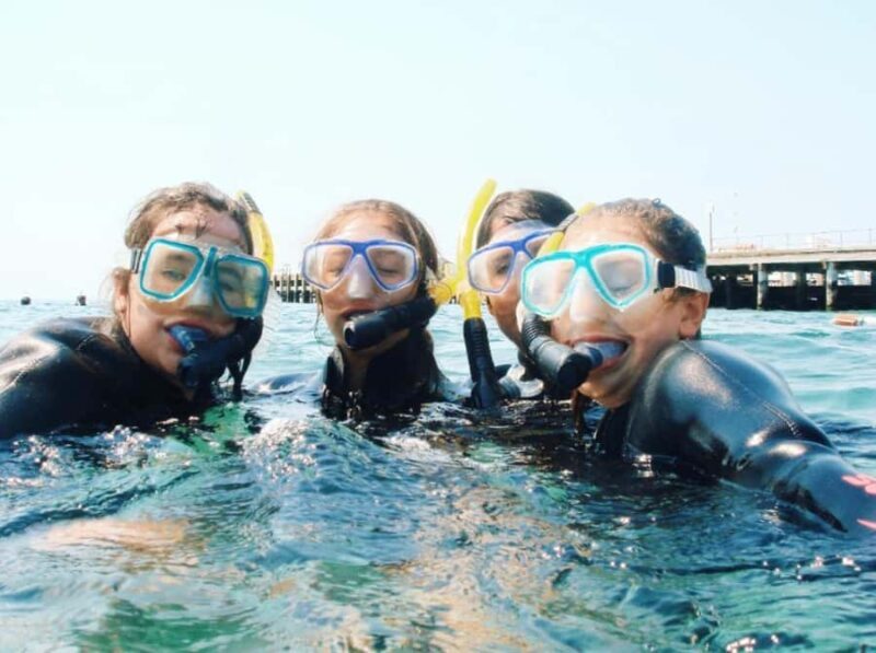 Portsea: Guided Snorkeling Tour with Weedy Sea Dragons - An Authentic Marine Adventure in Portsea