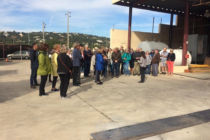 Portugal: Algarve Traditional Cork-Making Tour  - Albufeira - Cancellation Policy