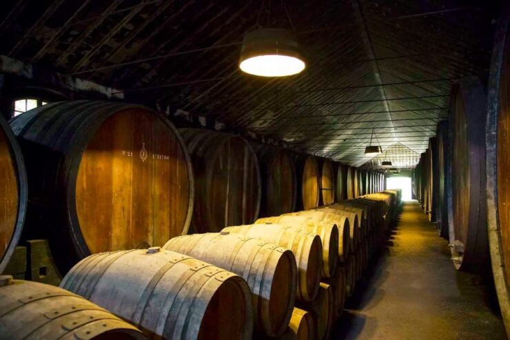 Portugal Arrábida Tour, the Winery and the Mountain Charms - Tour Details