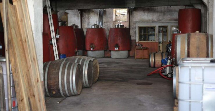 Portugal: Dao Winery Tour, Barrel Tasting and Wine Tasting - Booking Details