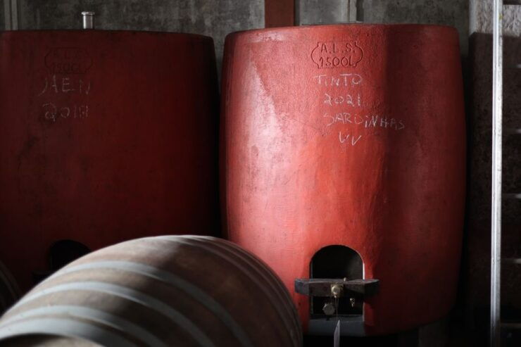 Portugal: Dao Winery Tour, Barrel Tasting and Wine Tasting - Experience Highlights