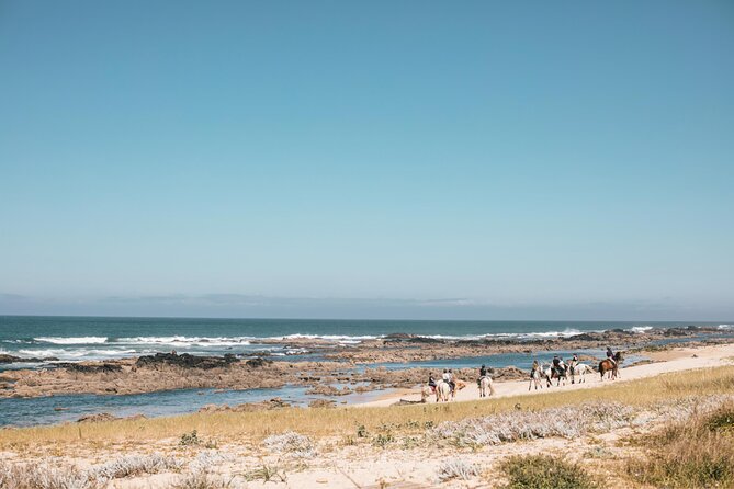 Portugal Horseback Riding Tour On The Beach - Inclusions