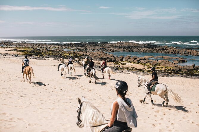 Portugal Horseback Riding Tour On The Beach - Operator Information