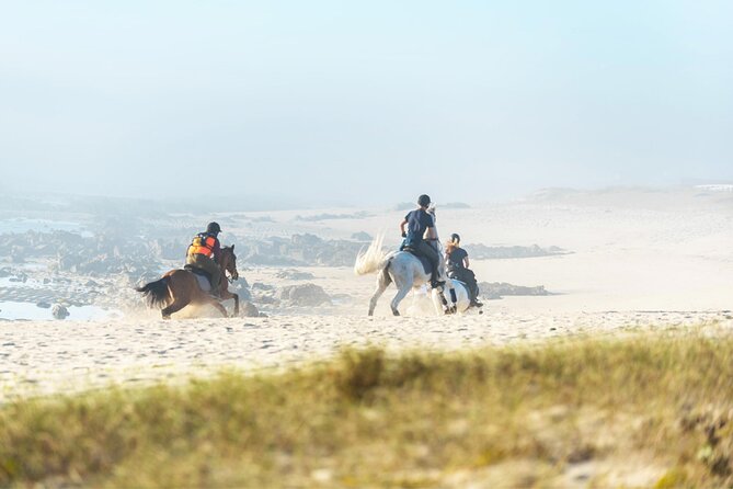 Portugal Horseback Riding Tour On The Beach - Pricing and Cancellation Policy