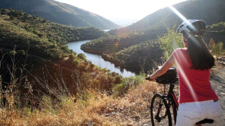 Portugal: Premium Bike Tour Atlantic Coast to Douro Valley - Tour Details & Highlights