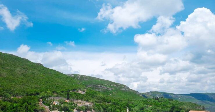 Portugal: Private Tour Palmela, Arrábida and Azeitão - Tour Details