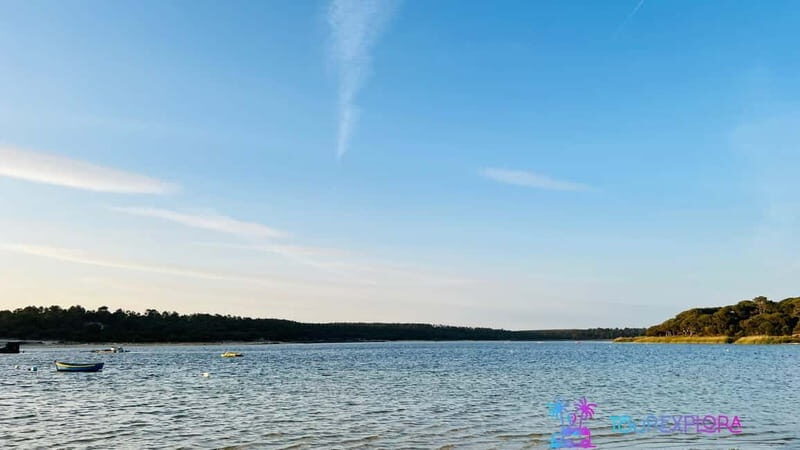 Portugal's Hidden Gems: Arrábida, C Espichel & Sesimbra Tour - Who Will Love This Tour?