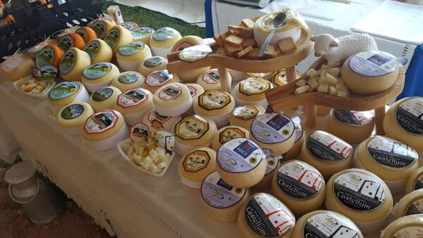 Portuguese Cheeses Tasting in Porto Antique Store - Port Wine Tasting