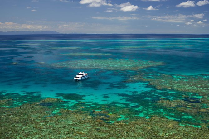 Poseidon Outer Great Barrier Reef Snorkeling and Diving Cruise From Port Douglas - Tour Highlights and Experience