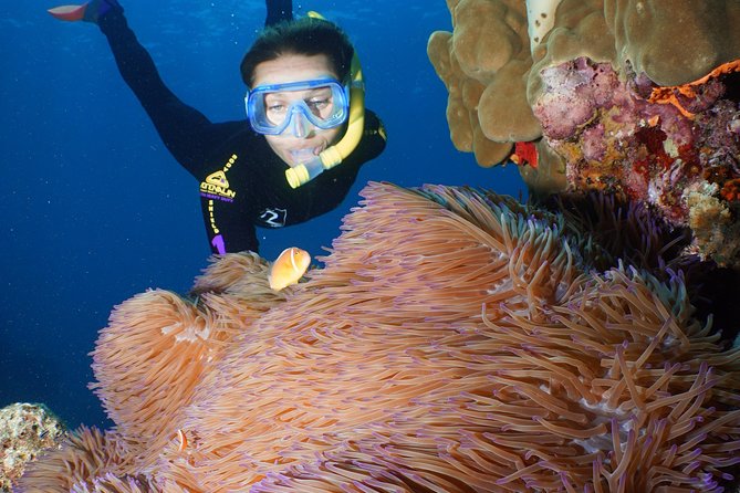 Poseidon Outer Great Barrier Reef Snorkeling and Diving Cruise From Port Douglas - Booking and Cancellation Policy