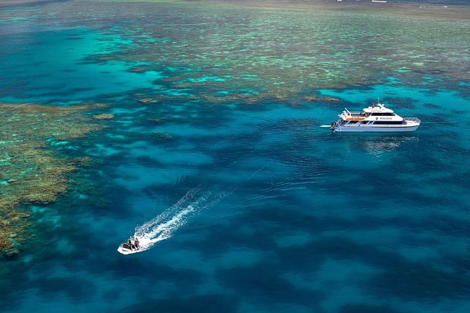 Poseidon Outer Great Barrier Reef Snorkeling and Diving Cruise From Port Douglas - Common Questions