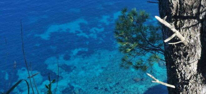 Positano Exclusive Private Boat Tour in the Land of Mermaids - Tips for Your Tour