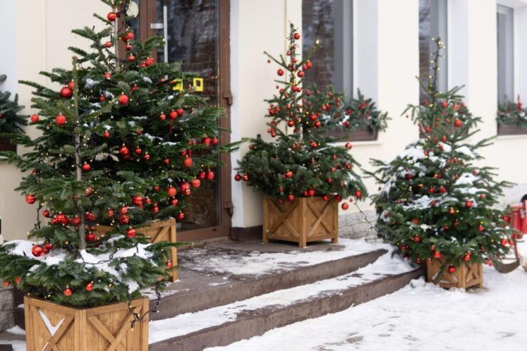 Positano's Christmas Splendor: A Festive Cultural Walk - Good To Know