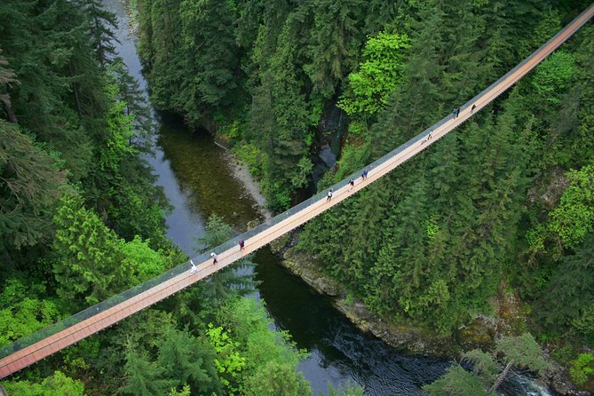Post-Cruise: Vancouver Tour With Lookout & Capilano Bridge - Tour Guide Expertise and Overview