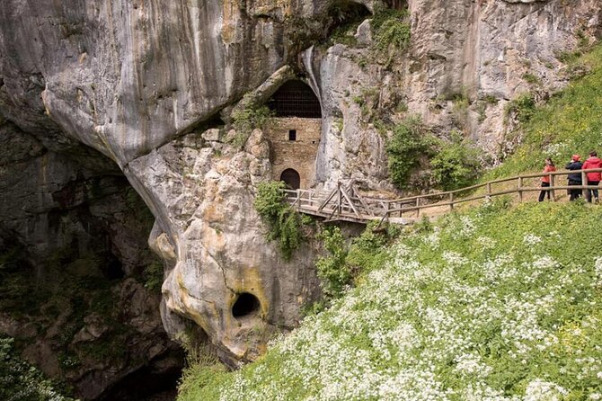 Postojna Cave and Castle Privat Tour From Koper, Trieste, Piran - Traveler Photos and Reviews
