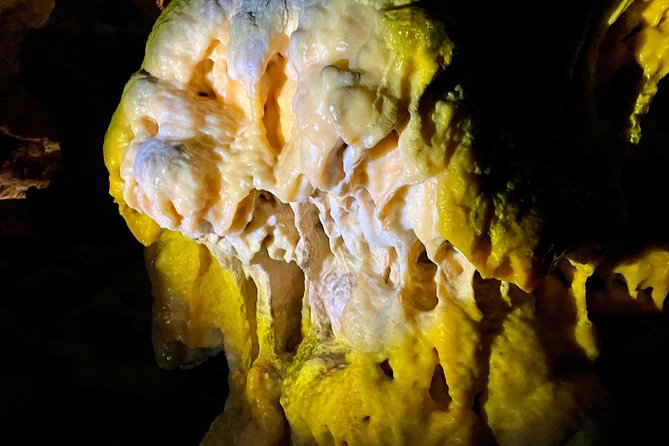 Postojna Cave Day Trip From Ljubljana - Reviews
