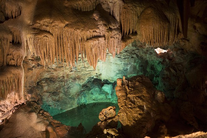 Postojna Cave & Predjama Castle - Reviews