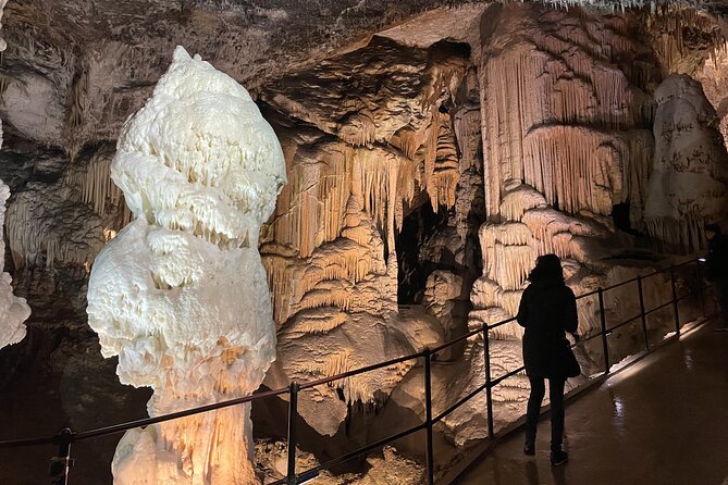 Postojna Cave & Predjama Castle With Tickets and Ljubljana - Tour Activities