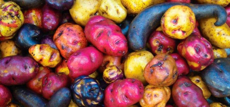 Potato Park - Community-Based Tourism in the Sacred Valley - Booking Details for Potato Park Tour