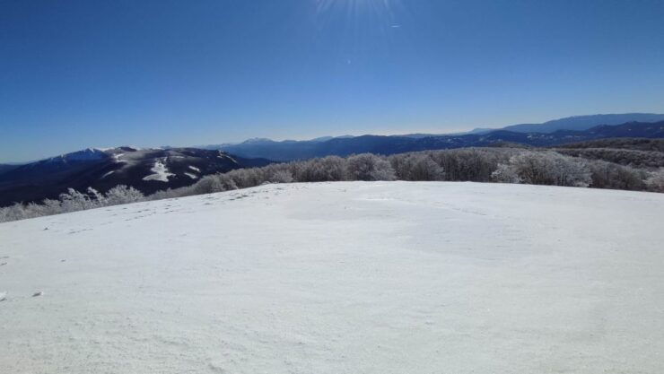 Potenza: Guided Mountain Walking Tour With Snowshoes - Booking Details