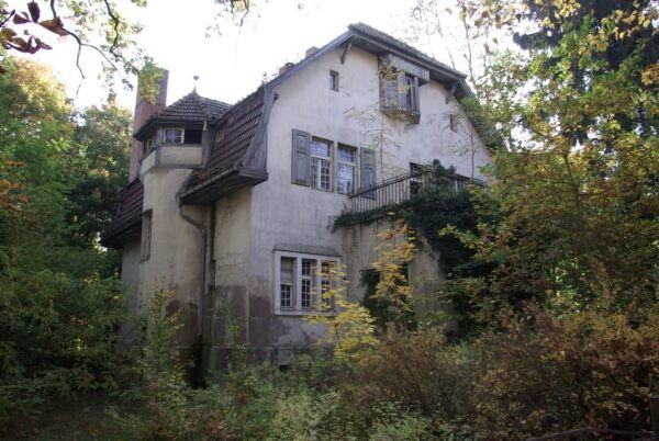 Potsdam-Babelsberg: 5-Hour Tour Film History by VW Bus - Accessibility Options