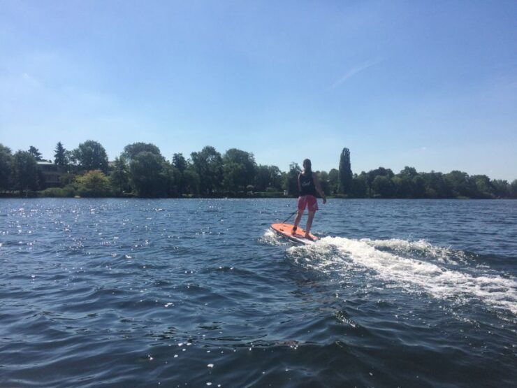 Potsdam: E-Surfboard Rental - German Instructor and Detailed Instructions Provided
