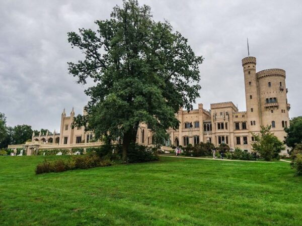 Potsdam: Private City Highlights Tour in a Vintage Minibus - Related Tours and Positive Review