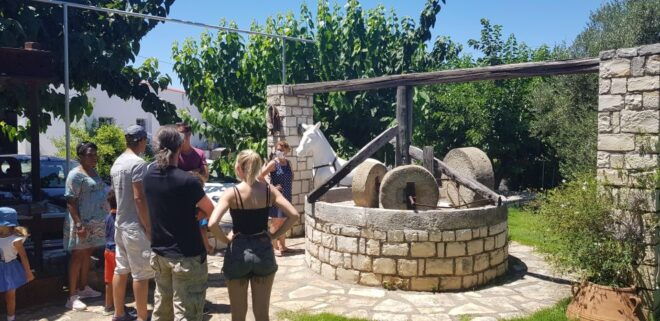 Pottery Workshop - Honey & Olive Oil Experience - Workshop Details