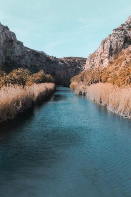 Pottery Workshop, Preveli Monastery & Preveli Palm Forest - Booking and Cancellation Policy