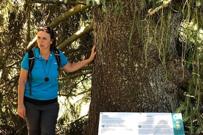 Power of Trees Private Tasting Tour - Meeting and Pickup