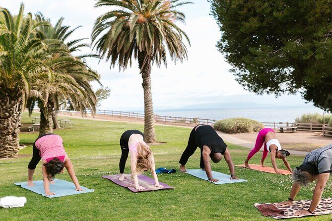 Power Up Your Girls Trip with Savannah Mobile Yoga Class - Why Travelers Will Appreciate This Experience