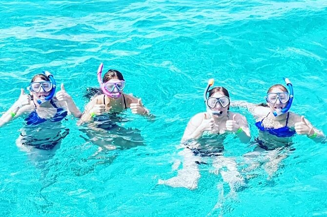 Powerboat and Snorkel Tour With Swimming Pigs and Turtles - Inclusions