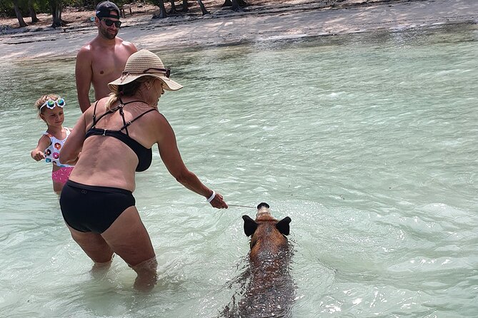 Powerboat and Snorkel Tour With Swimming Pigs and Turtles - Cancellation Policy