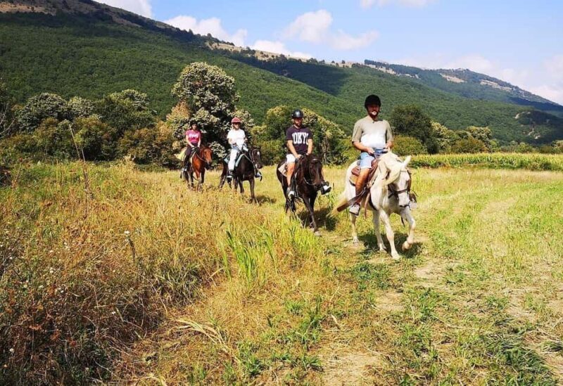Pozar Thermal Baths: Horseback Riding Tour from Thessaloniki - Logistics and Practicalities