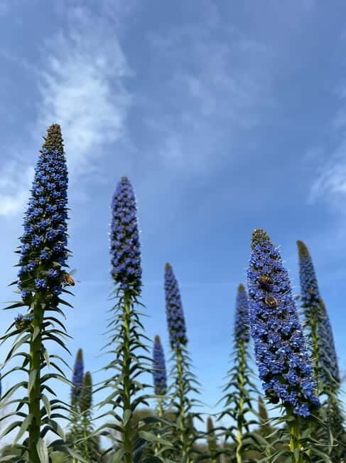 Pozzo Faceto: botanical garden - Practical Details and Tips