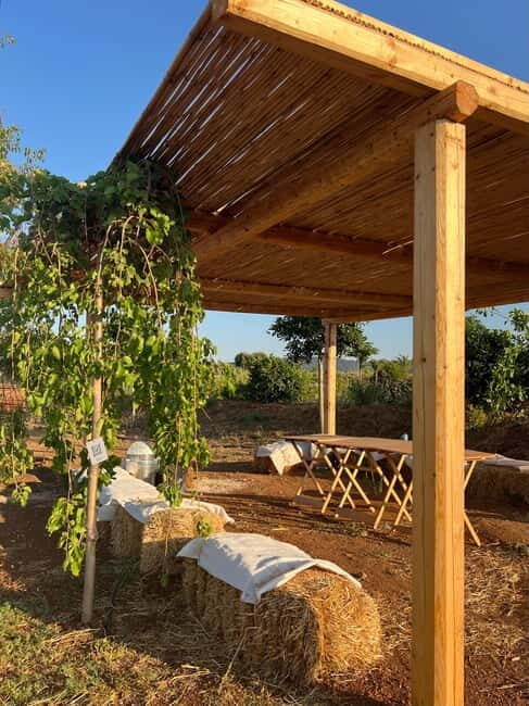 Pozzo Faceto: botanical garden - Final Thoughts