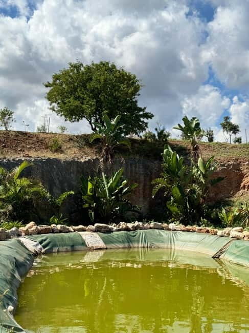 Pozzo Faceto: botanical garden - FAQs