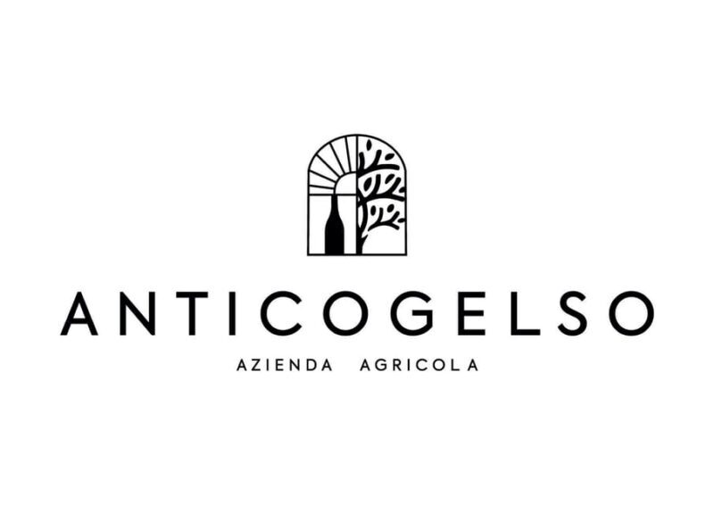 Pozzolengo: Vineyard tour and tasting of typical Garda wines - Good To Know