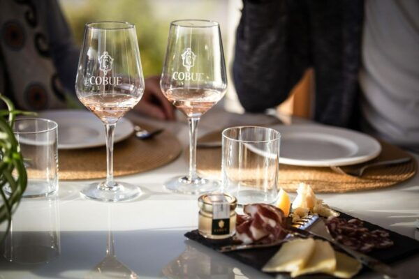 Pozzolengo: Winery Tour and Tasting on Morainic Hills - The Sum Up