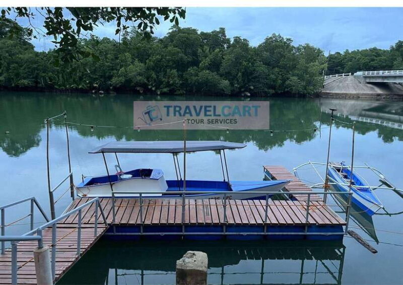 PPC IWAHIG Firefly Watching - Final Thoughts