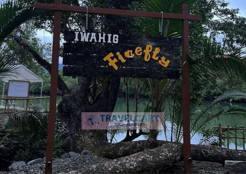 PPC IWAHIG Firefly Watching - In-Depth Review of the Firefly Watching Experience