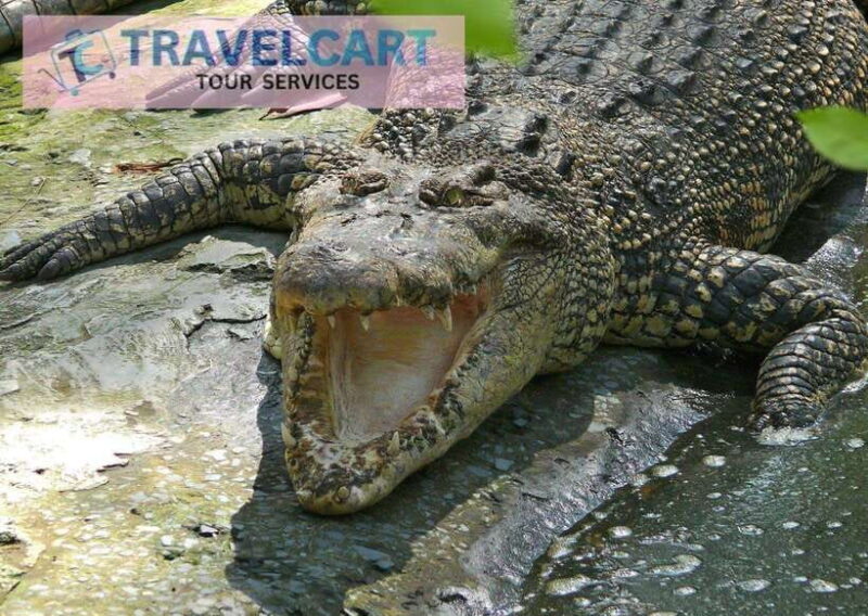 PPS CITY TOUR - The Sum Up