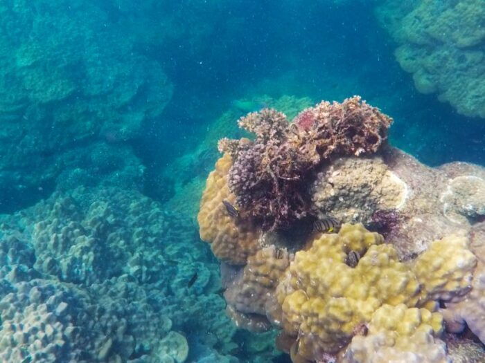 PQ: Speedboat Tour to 3 Islands in the South (CANO TRIP) - Discovering Gham Ghi Island