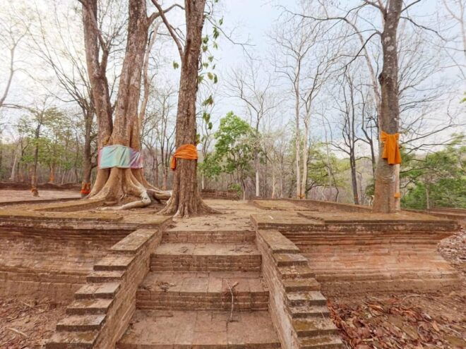 Practice Meditation and Unseen Temple Visit - Included Features and Services
