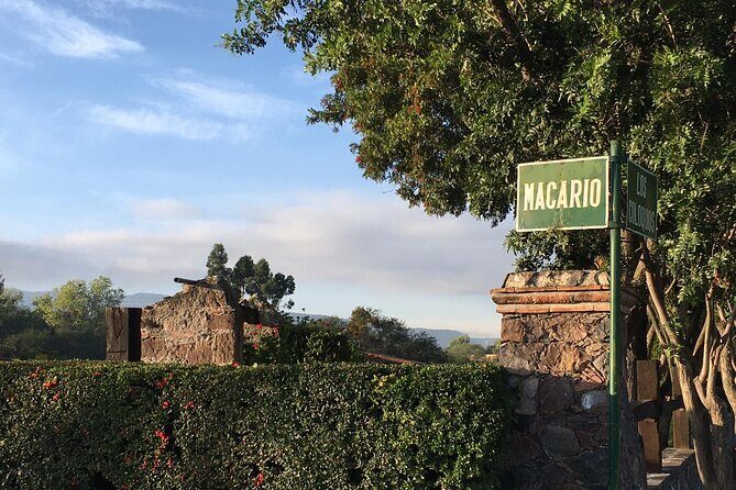 Practice your Spanish and let's go hiking! - What to Expect from the Tour in Detail