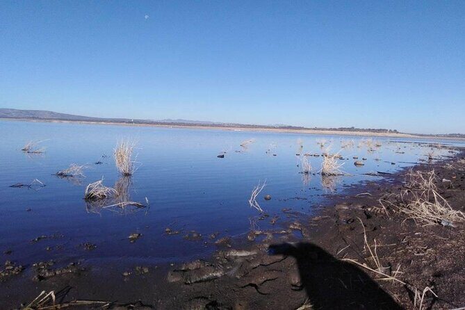 Practice your Spanish and let's go hiking! - FAQs